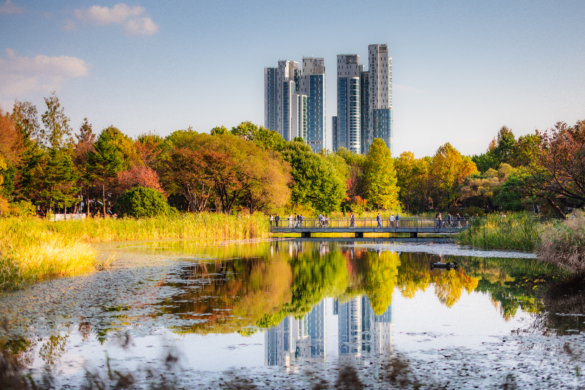 Autumn trees and modern apartment towers reflected in a calm lake at Seoul Forest