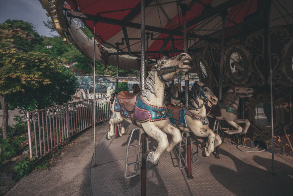 Weathered white carousel horse with a red saddle and blue harness beneath the ride's canopy.