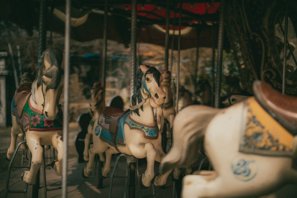 Rows of painted carousel horses beneath a dark canopy, with a white horse in sharp focus at the center.