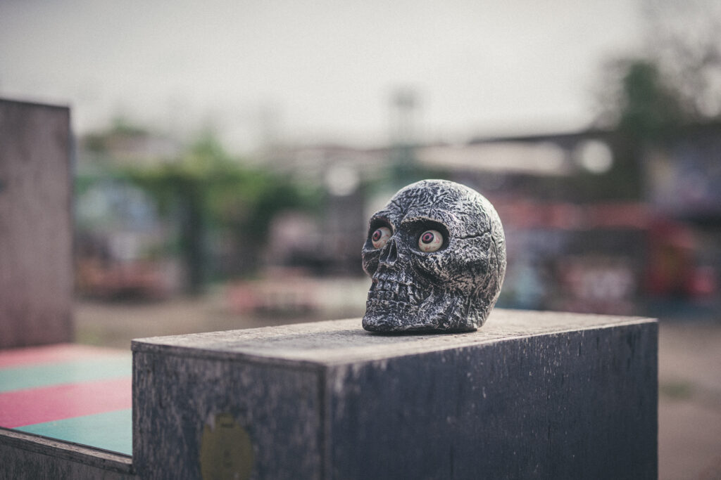 Dark skull prop with wide eyes resting on a square pedestal, with amusement rides blurred behind it.